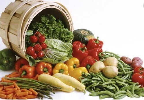 上海寶山至天津?qū)I(yè)冷鏈配送服務(wù)指南，助力餐飲企業(yè)高效運(yùn)營(yíng)